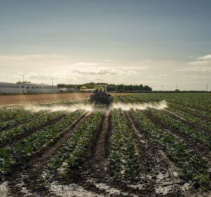 An agricultural tractor sprays plants with chemicals and pestici