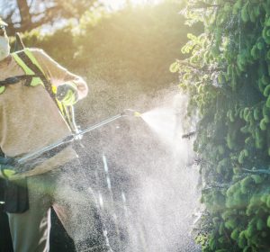 Pesticide Plants Spraying